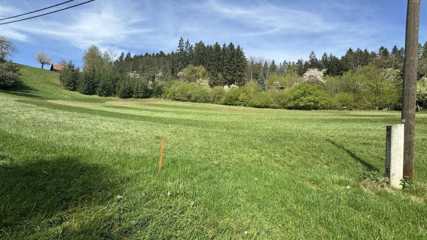 Prodej pozemku, Nová Paka - Zlámaniny, 3156 m2