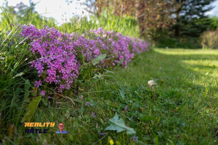 Prodej domu, Meziměstí - Ruprechtice, 167 m2