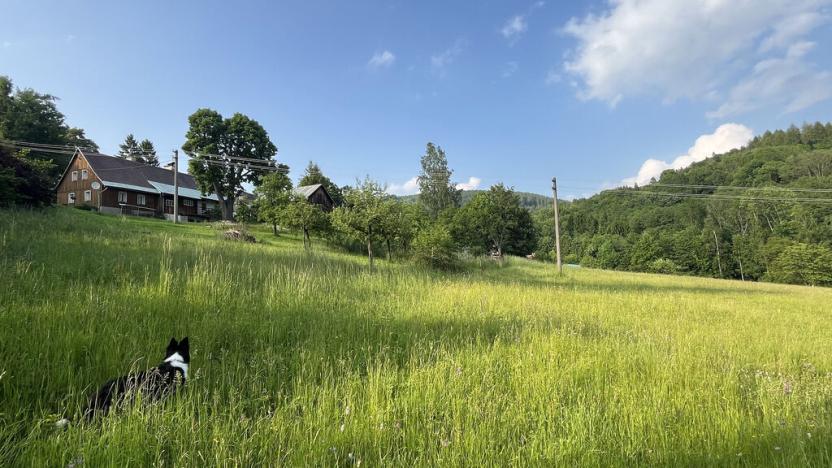 Prodej pozemku, Zlatá Olešnice, 1101 m2