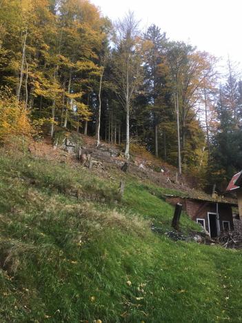 Prodej rodinného domu, Bedřichov, 703 m2