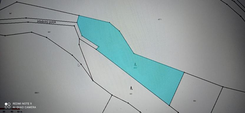 Prodej lesa, Milý, 7670 m2