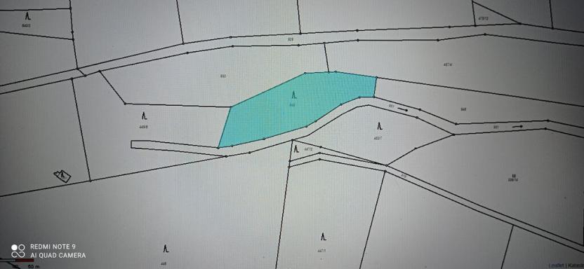 Prodej lesa, Milý, 7670 m2