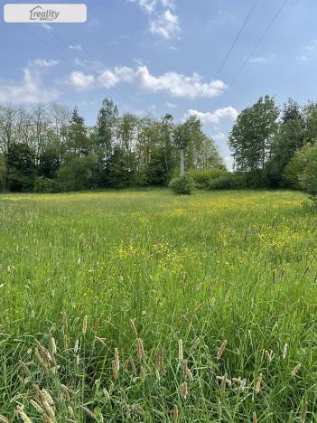 Prodej louky, Týn nad Vltavou, Hněvkovice na pravém břehu Vlt., 1648 m2