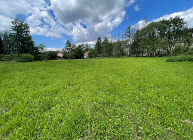 Prodej pozemku, Nová Cerekev - Částkovice, 2131 m2