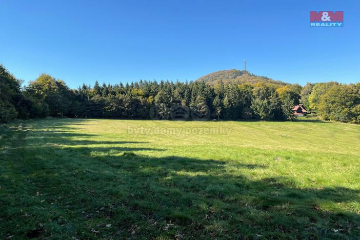 Prodej louky, Jiřetín pod Jedlovou - Rozhled, 15674 m2