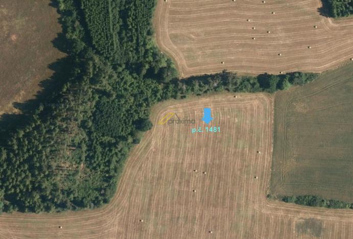 Prodej pole, Hoslovice, 5549 m2