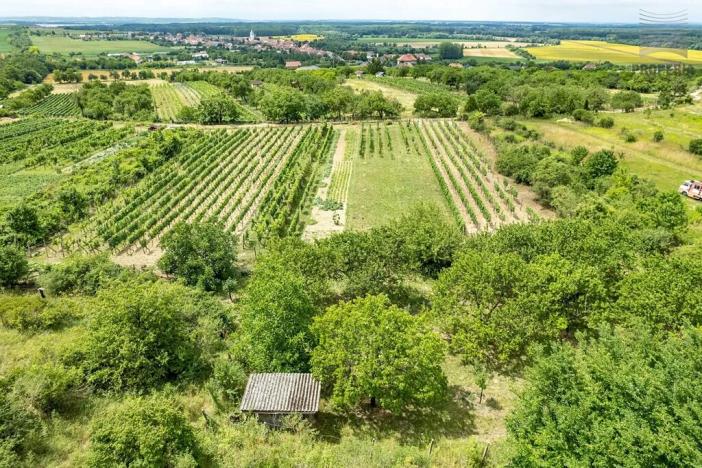 Prodej sadu/vinice, Pouzdřany, 1120 m2
