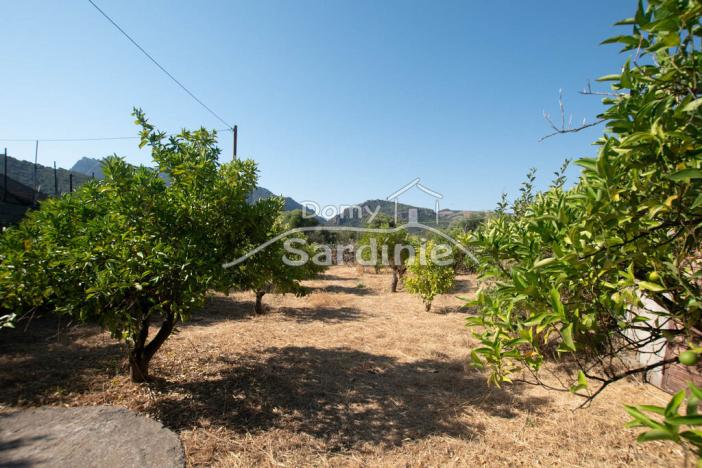 Prodej rodinného domu, Viddalba, Sardinie, Itálie, 170 m2