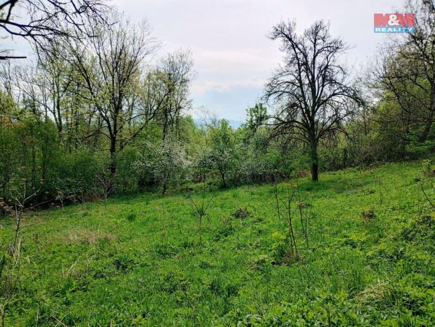 Prodej chaty, Jeseník nad Odrou - Hůrka, 38 m2