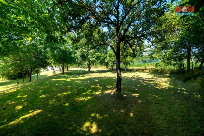 Prodej pozemku pro bydlení, Damníkov, 706 m2