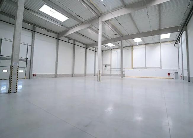 Pronájem skladu, Řepov, 874 m2