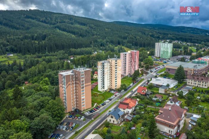 Prodej bytu 1+kk, Tanvald, Palackého, 25 m2