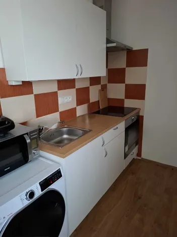 Pronájem bytu 1+kk, Přáslavice, 27 m2