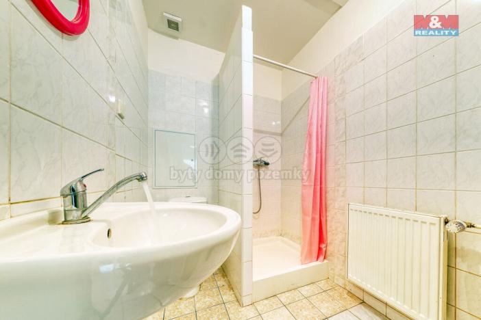 Prodej obchodního prostoru, Písek, Čechova, 53 m2