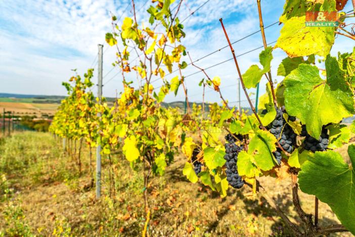 Prodej zahrady, Čebín, 1263 m2