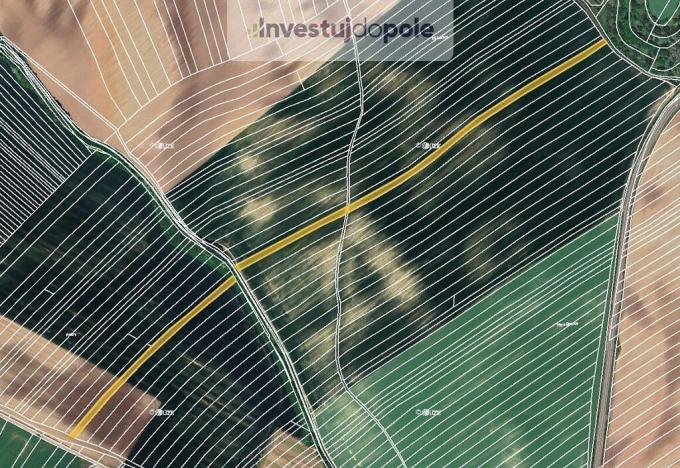 Prodej pole, Čejkovice, 8100 m2