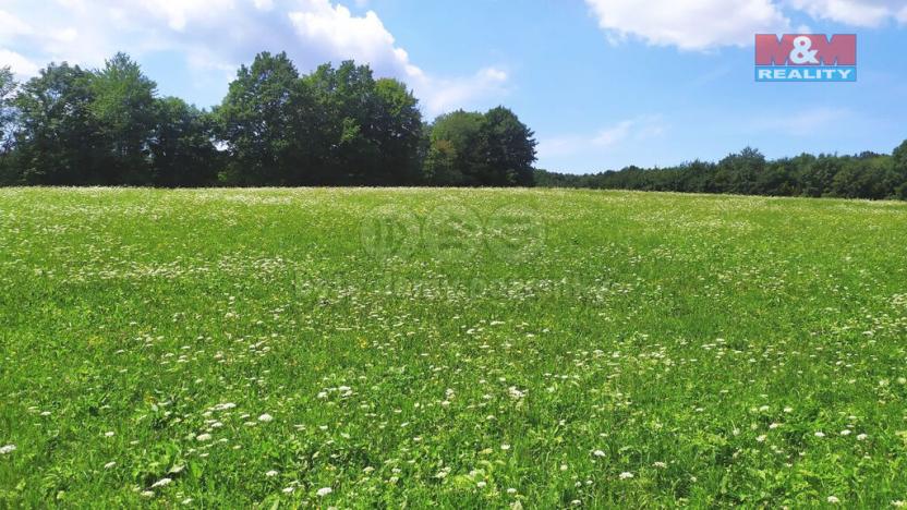 Prodej louky, Štramberk, 4766 m2