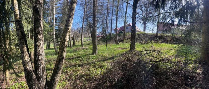 Prodej pozemku pro bydlení, Poniklá, 450 m2