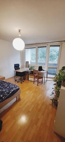 Pronájem bytu 1+kk, Hradec Králové - Slezské Předměstí, Třebechovická, 31 m2
