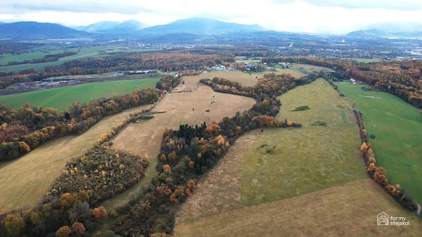 Prodej louky, Frýdek-Místek, 216849 m2
