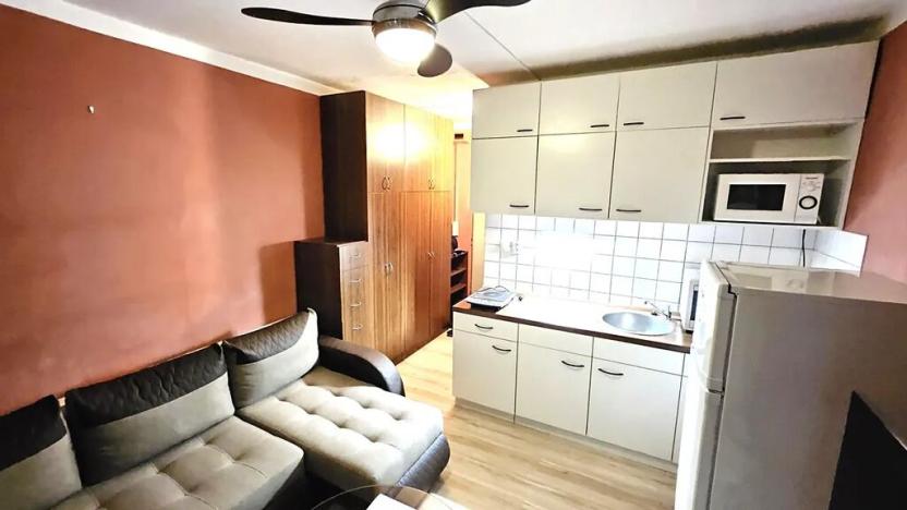 Pronájem bytu 1+kk, Most, U Věžových domů, 20 m2