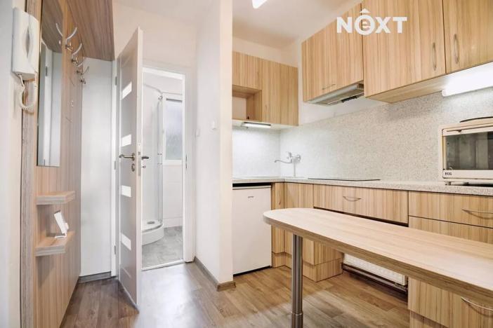 Pronájem bytu 1+kk, Žatec, Sládkova, 27 m2