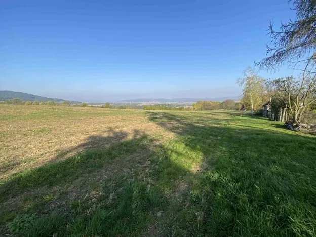 Dražba pole, Víska u Jevíčka, 5681 m2