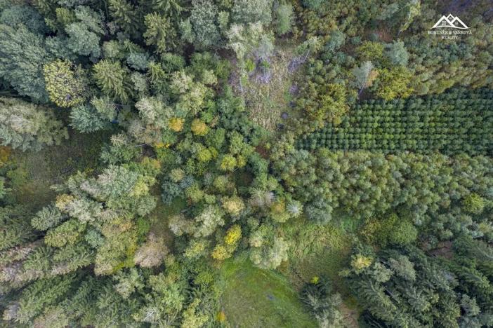 Prodej lesa, Všeradov, 2232 m2