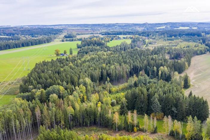 Prodej lesa, Všeradov, 2232 m2