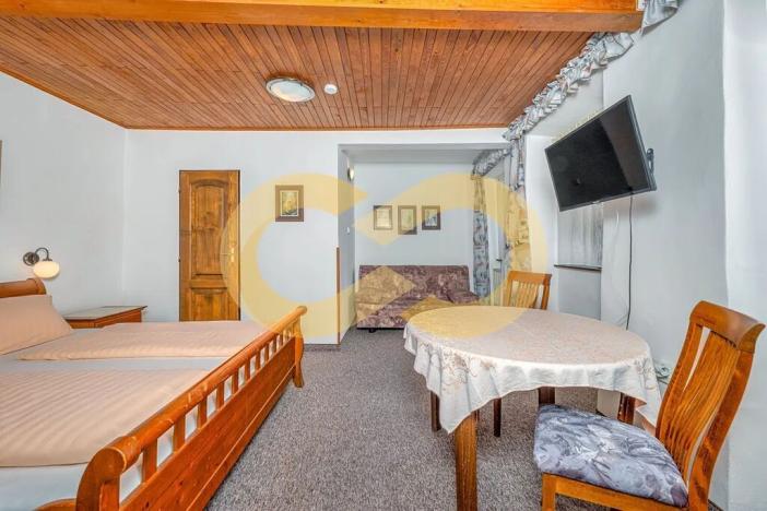 Prodej ubytování, Český Krumlov, Rooseveltova, 391 m2