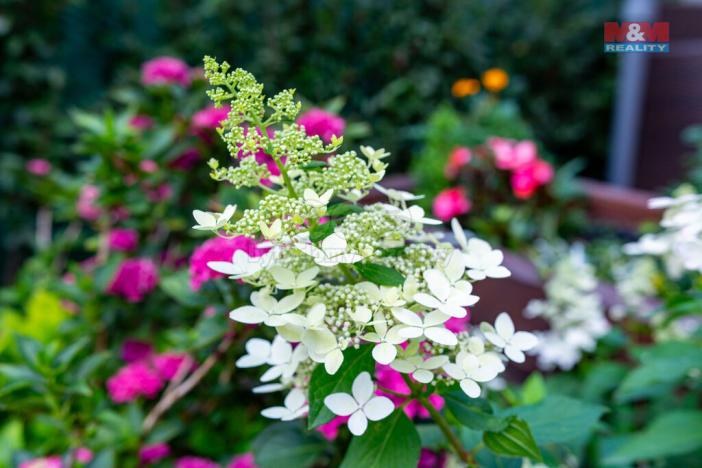 Prodej rodinného domu, Ostrava - Slezská Ostrava, Na Vizině, 120 m2