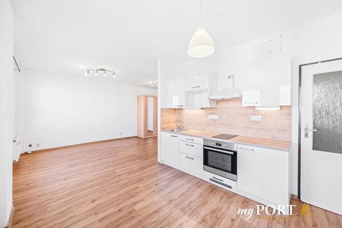 Pronájem bytu 1+kk, Plzeň, Spolková, 41 m2