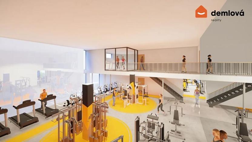 Pronájem komerční nemovitosti, Orlová, Polní, 435 m2