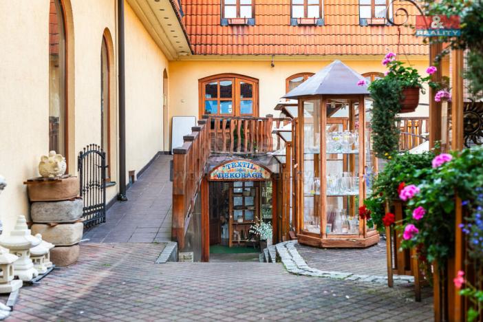 Pronájem obchodního prostoru, Domažlice - Dolejší Předměstí, Husova třída, 600 m2