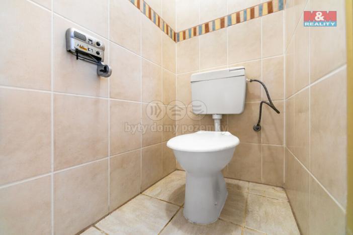 Pronájem obchodního prostoru, Domažlice - Dolejší Předměstí, Husova třída, 600 m2