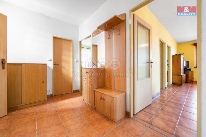 Pronájem obchodního prostoru, Domažlice - Dolejší Předměstí, Husova třída, 600 m2