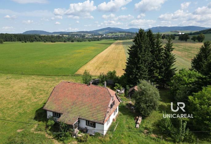 Prodej chaty, Červená Voda - Dolní Orlice, 202 m2