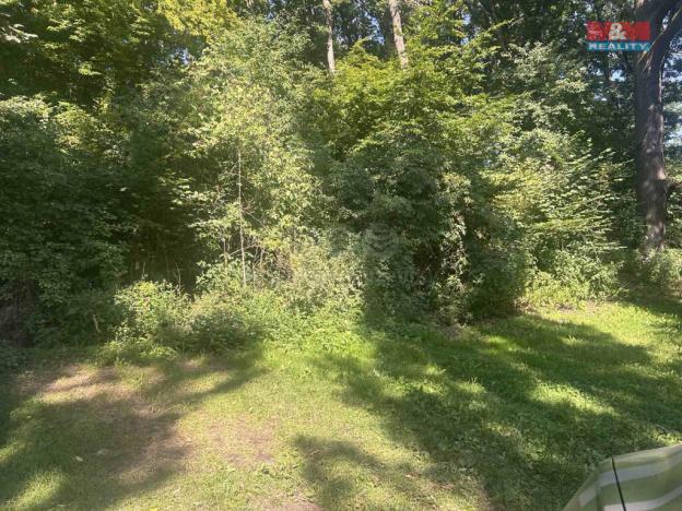 Prodej lesa, Vysoká Pec - Drmaly, 4812 m2