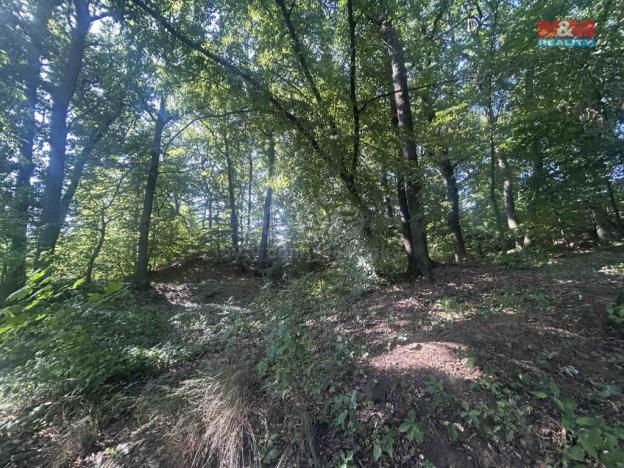 Prodej lesa, Vysoká Pec - Drmaly, 4812 m2