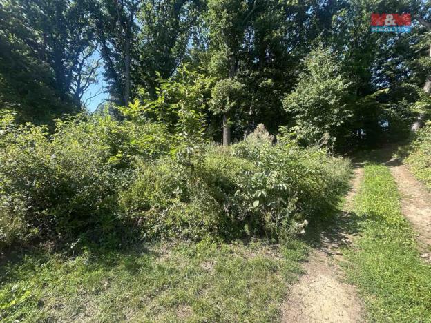 Prodej lesa, Vysoká Pec - Drmaly, 4812 m2