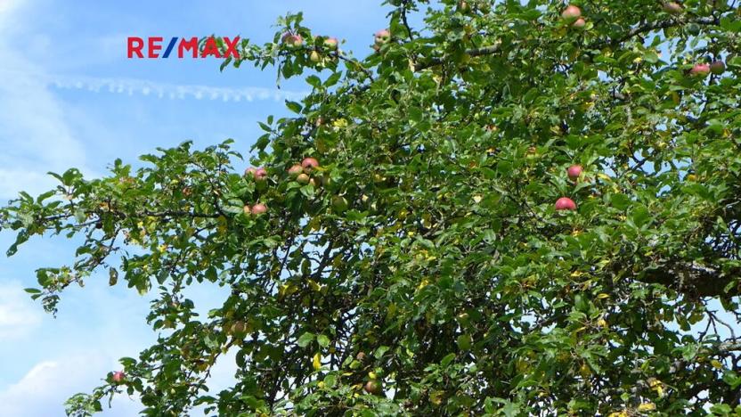 Prodej sadu/vinice, Miloňovice, 18431 m2