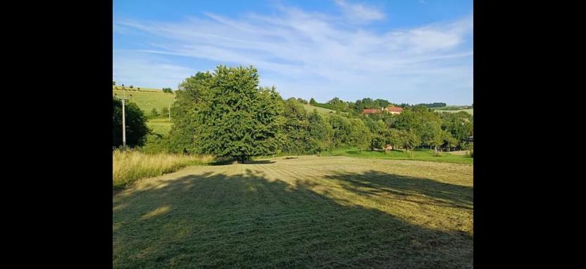 Prodej zahrady, Bařice-Velké Těšany, 1544 m2
