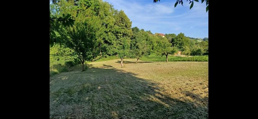 Prodej zahrady, Bařice-Velké Těšany, 1544 m2