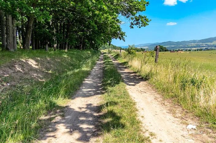 Prodej louky, Chudenín, 139968 m2