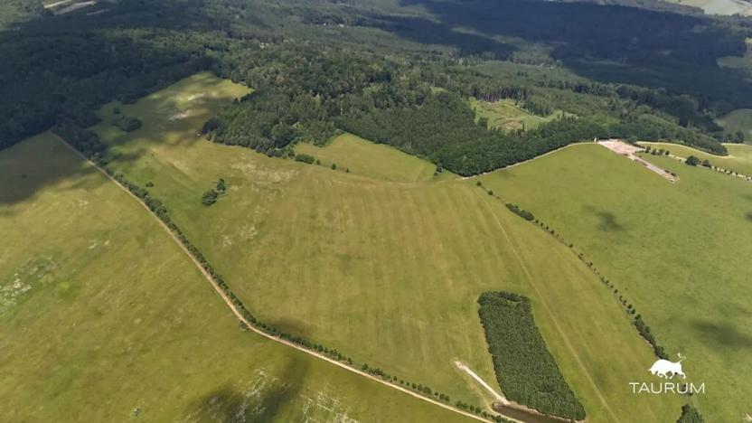 Prodej louky, Chudenín, 139968 m2
