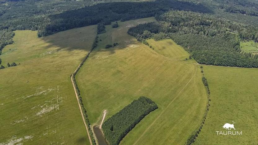 Prodej louky, Chudenín, 139968 m2
