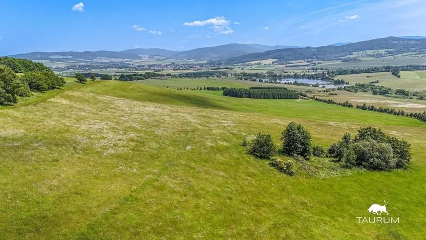 Prodej louky, Chudenín, 139968 m2