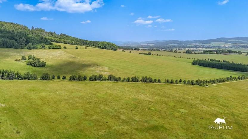Prodej louky, Chudenín, 139968 m2