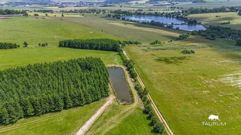 Prodej louky, Chudenín, 139968 m2