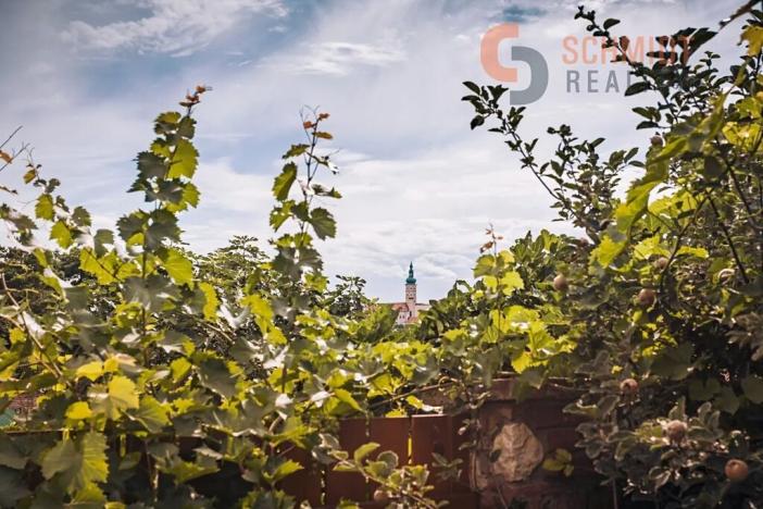 Prodej rodinného domu, Mikulov, 1. května, 310 m2